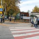 zdjęcie nr 10