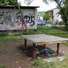 zdjęcie nr 8