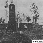 zdjęcie nr 10