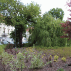 zdjęcie nr 80