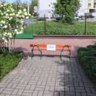 zdjęcie nr 8