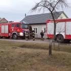 Fotka nr 5 z 7