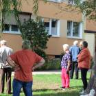 zdjęcie nr 10
