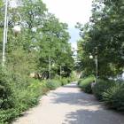 zdjęcie nr 14