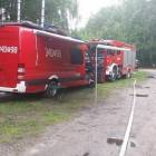 Fotka nr 2 z 7