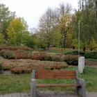 zdjęcie nr 73