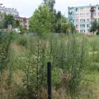 zdjęcie nr 8