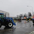 zdjęcie nr 17