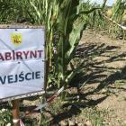 zdjęcie nr 69