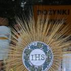 zdjęcie nr 110