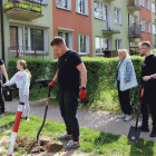 zdjęcie nr 28