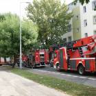 Fotka nr 5 z 11