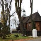 zdjęcie nr 46