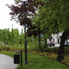 zdjęcie nr 83