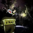 zdjęcie nr 7