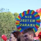 zdjęcie nr 8