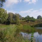 zdjęcie nr 8
