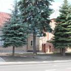 Fotka nr 4 z 14