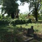 zdjęcie nr 50
