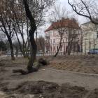 zdjęcie nr 17