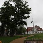 zdjęcie nr 26