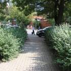 zdjęcie nr 15