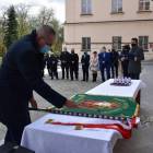zdjęcie nr 13