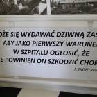zdjęcie nr 31
