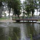 zdjęcie nr 8