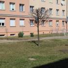 Fotka nr 1 z 2