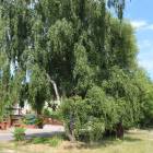 zdjęcie nr 15