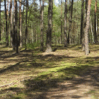 zdjęcie nr 162