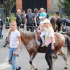 zdjęcie nr 73