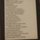 zdjęcie nr 105