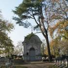 zdjęcie nr 37