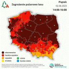 zdjęcie nr 16