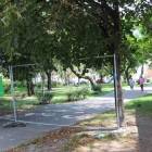 zdjęcie nr 7