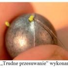 Fotka nr 4 z 10