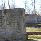 Fotka nr 5 z 11