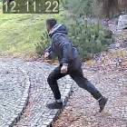 Fotka nr 1 z 2