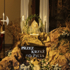 zdjęcie nr 9