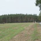 zdjęcie nr 155