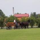 zdjęcie nr 60