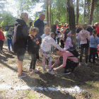 zdjęcie nr 132