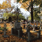 zdjęcie nr 42