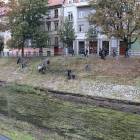 zdjęcie nr 14