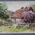 zdjęcie nr 82