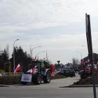 zdjęcie nr 12