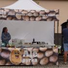 zdjęcie nr 43