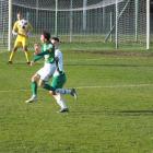 Fotka nr 3 z 17